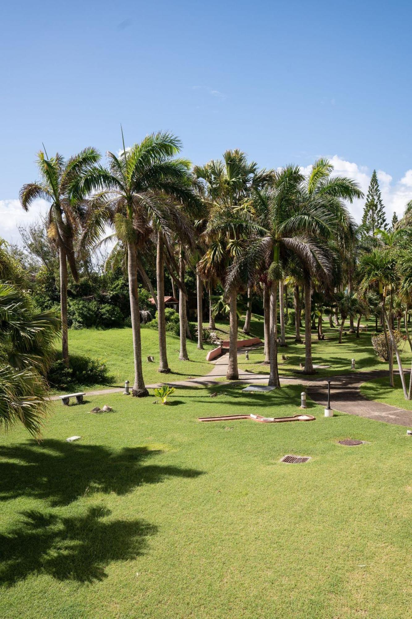 Le Petit Havre Tropical Guadeloupe, Gite, Massages & Spa Сен-Франсуа Экстерьер фото